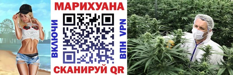 Конопля Bruce Banner  Сафоново 